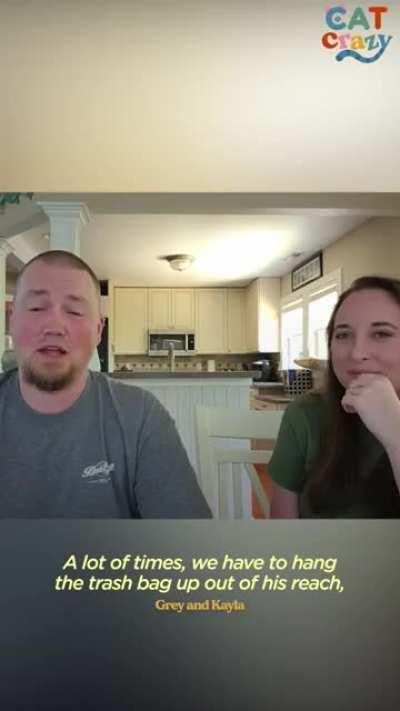 This cat is obsessed with food and is always trying to steal his owners food