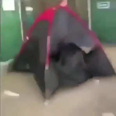 Barraca ambulante fds