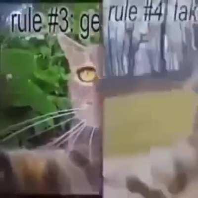 Day 75 of telling you guys to love yourselves! It is important to have structure within your day, not matter how basic. Find time for yourself and I hope you have a great day! Please if you need someone to just vent to I’m always here. I may not be able t