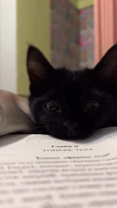 quit eating my book [OC]