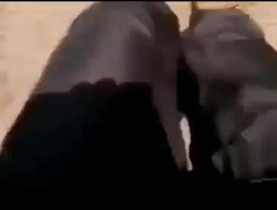 to extinguish a fire