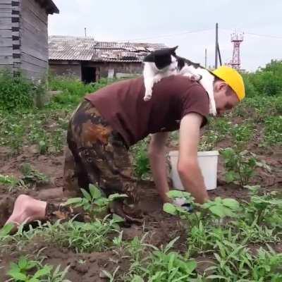 Mr.Gardening Supervisor