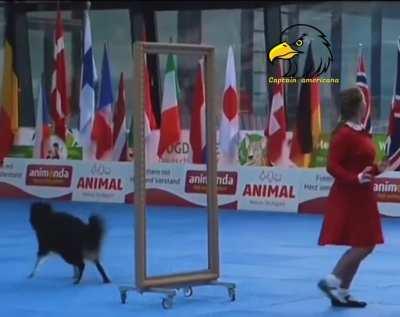 Incredible performance