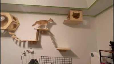 Well, great defense...