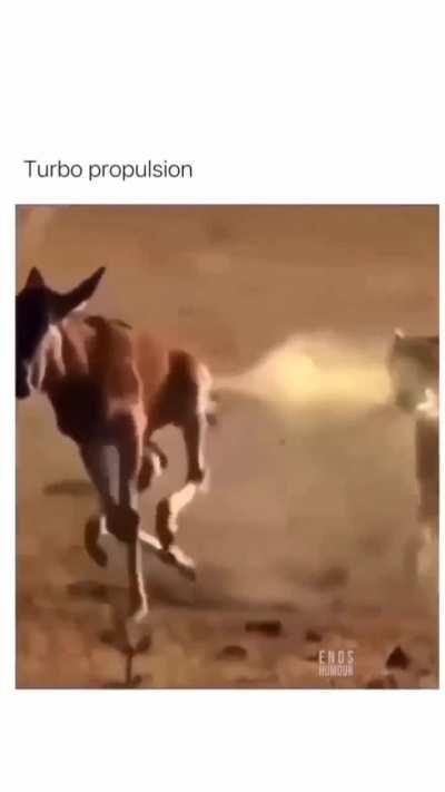 The best defense ever 