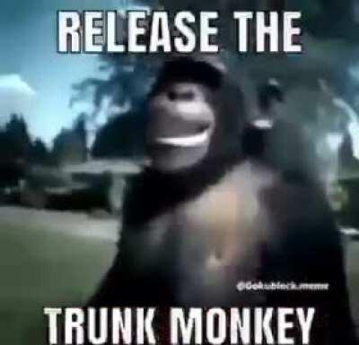 monke saves lives