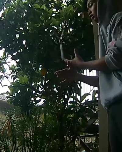 Got a couple hundred likes on ig so i posted it here too!