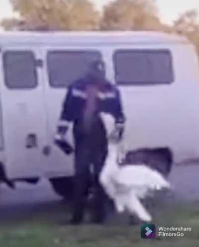 Goose is excited to see his best bro