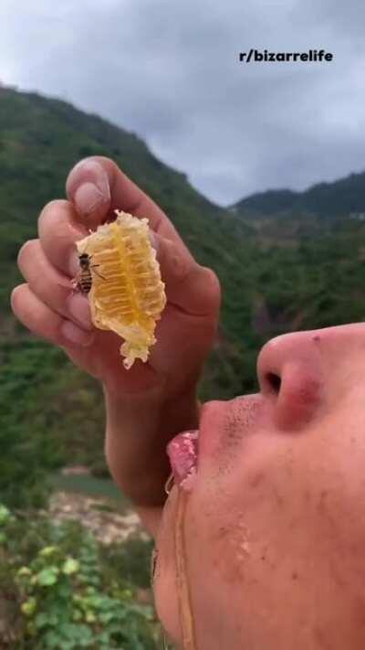 Eating fresh honey