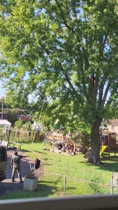 These guys have no idea what they are doing