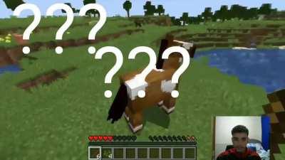 Greloninja 1000000iq