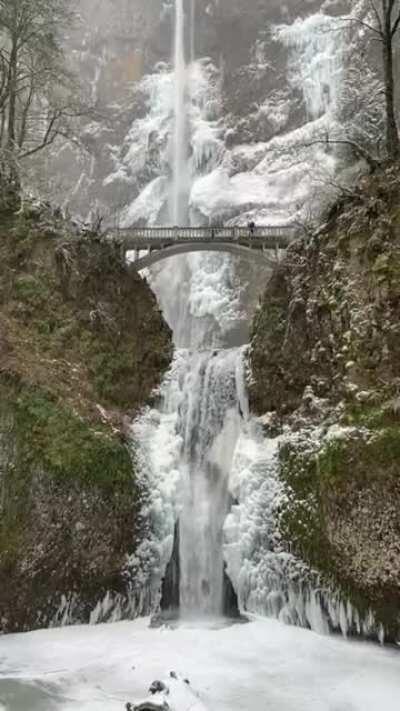 🔥 Multnomah Falls, Oregon 🔥