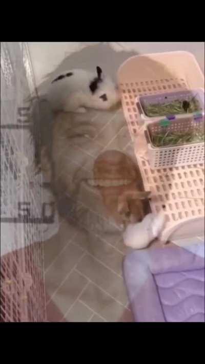 Nature is fighting back.