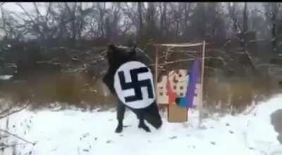 Ich habe es nicht verstanden, ich werde mich umbringen