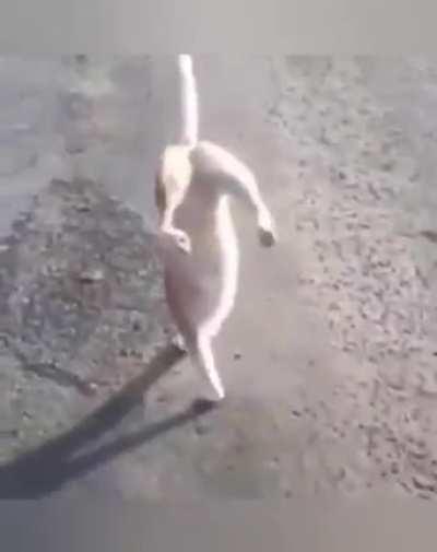 Only one shouldn't be that bad.