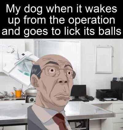 Where have they gone?