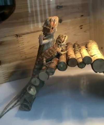 When you're trying to play it smooth with your new girl .