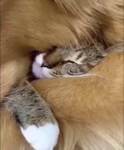 You need to warm your friend with love