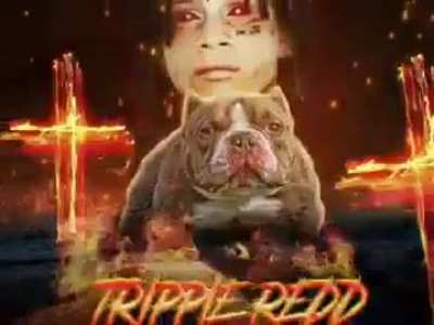 its called 🤑pimpysonoop🤑 mom, im not actually  🥶bloodskull 🥶