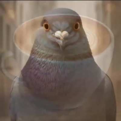 Where should I post this?