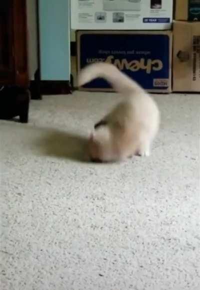 Anyone get the license plate of the truck that hit me?