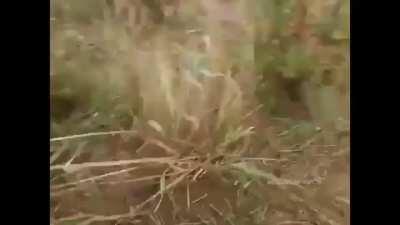 Pilot accidentally releases a missile while landing.