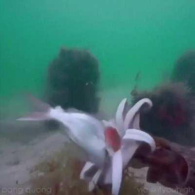 From the bottom of my heart, what the fuck