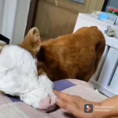 Oh yes, that's the spot