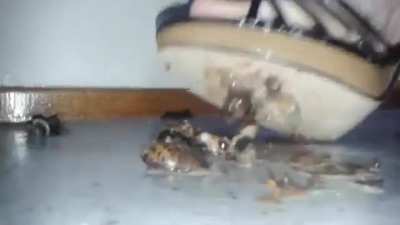 she turned them all into mush