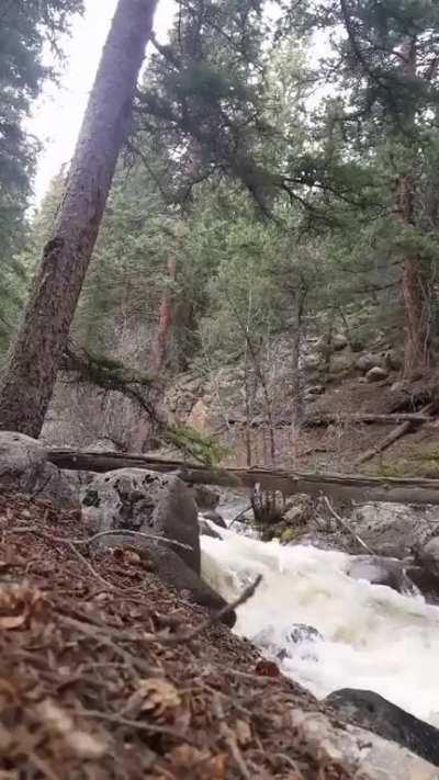 HMFT after doing artsy yoga