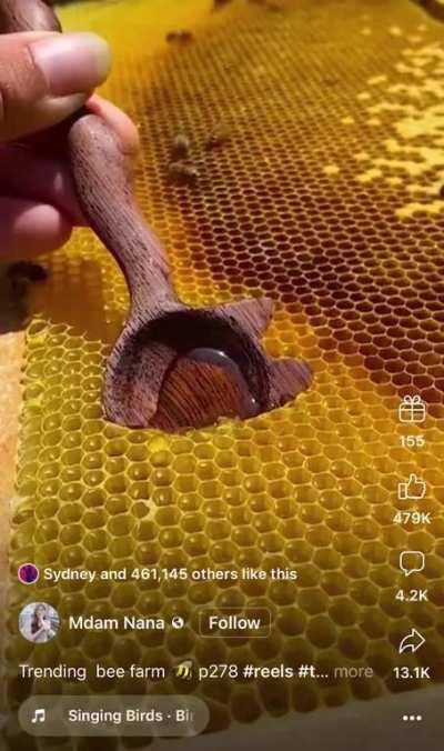 Spoonful of sunshine