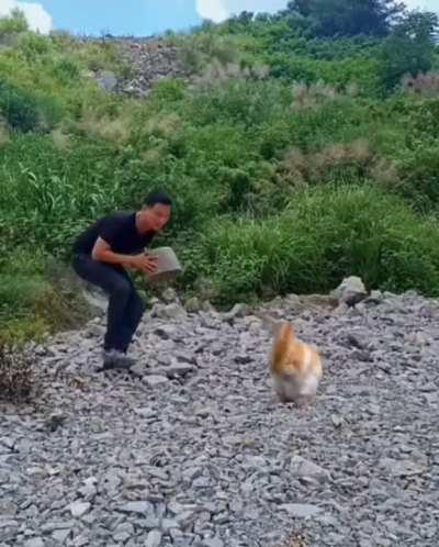 Been lurking this sub for a while