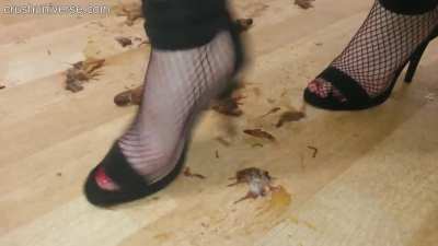 The weekend is here…😀