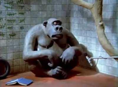 Conversas nais mormais no chat da Twitch