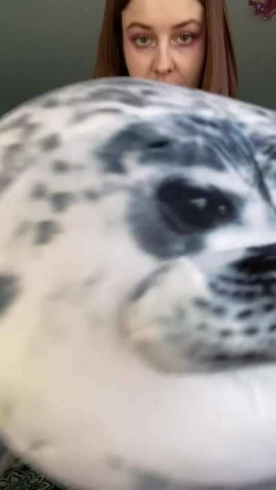 Ok this is a long vid haha but you must watch to see what the magic seal 🦭 reveals!