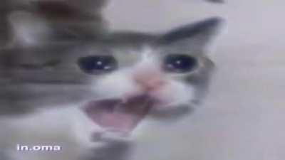 Me banearon del reddit del viejas😔😭