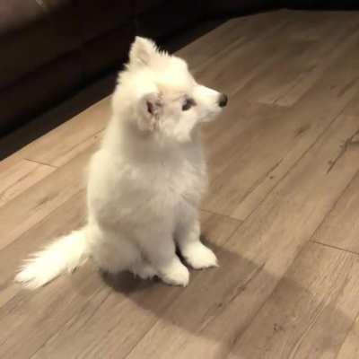 Watching TV for the first time