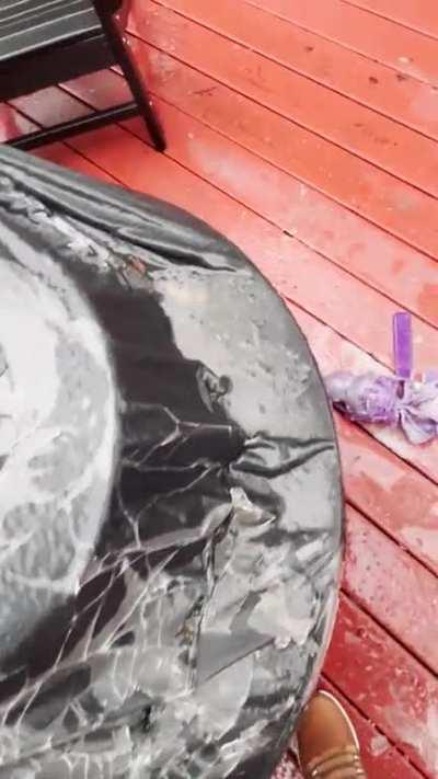 I finally have one! Enjoy my dudes.