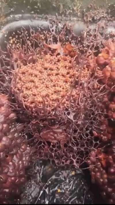 Chapter 2: The Quarantine Zone