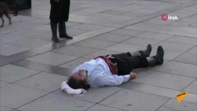 Stray dog tries to help an actor in a play