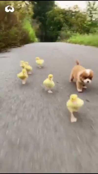 Just so cute n adorable.