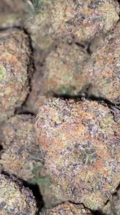 Yellow Zushi …. Oh god the gas