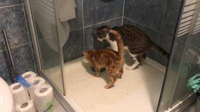 Little Tornillo scaring his friend with his derpy attack