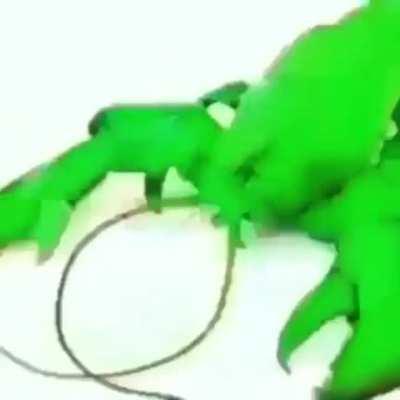 I'm 15 and this is yeet