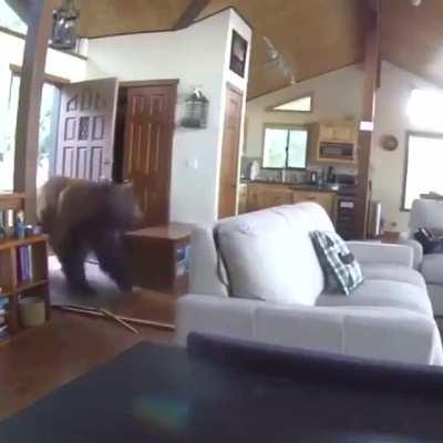 The way he just held the door for a second with his paw