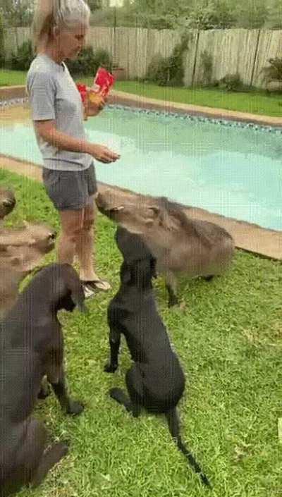 When you know how to find common ground with everyone.)