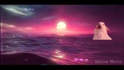 Not bad, not bad at all...