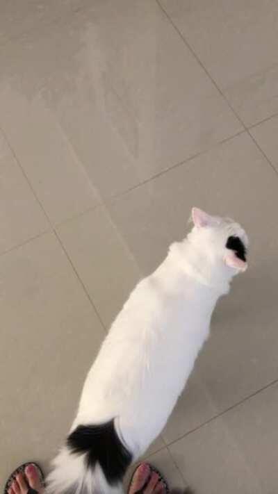 The first thing Bruce does when I come home