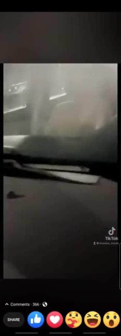 Roaches Everywhere Wal-Mart parking lot