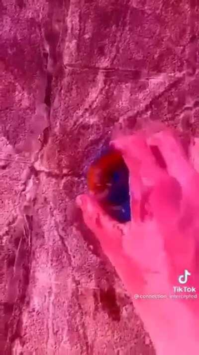 How many of you have had days you remember going like this?